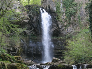 Cascada