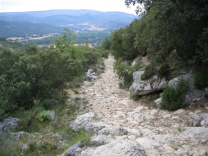 camino