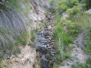 riachuelo