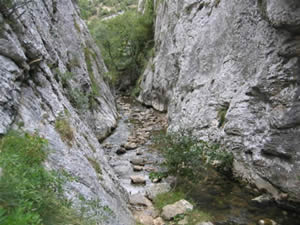 paso sobre piedras