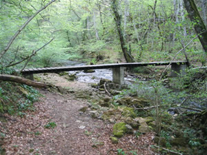 Puente de madera